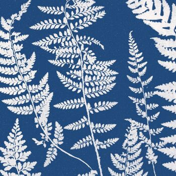 Affiche : Ferns, Specimen of Cyanotype - Anna Atkins 3