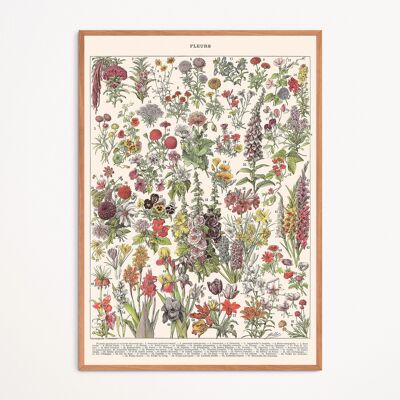 Poster: Flowers I
