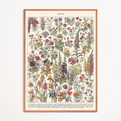 Affiche : Fleurs I