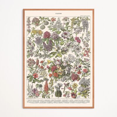 Affiche : Fleurs II