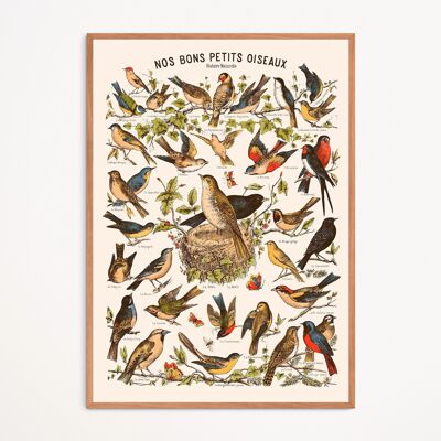 Poster: Unsere guten kleinen Vögel