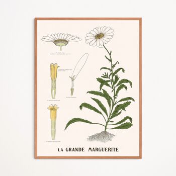 Affiche : La Grande Marguerite 1