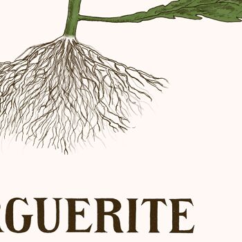 Affiche : La Grande Marguerite 7