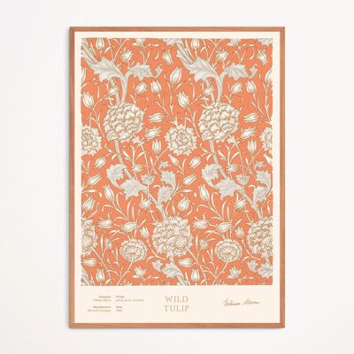 Poster: Wild Tulip - William Morris