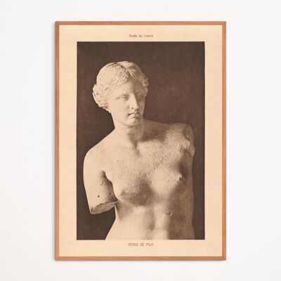 Plakat: Venus von Milo – Louvre-Museum