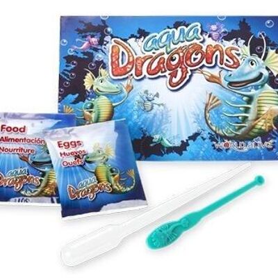 Recharge Aqua Dragons Monde sous-marin, AD4004, 25x2x20cm