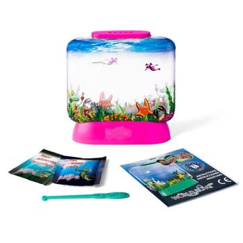 Aqua Dragons Sea Friends Basic (mélange de 4 couleurs), AD4016,16x4x16,5cm 4