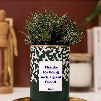 Grasse Plant – Danke, dass du so ein toller Freund bist