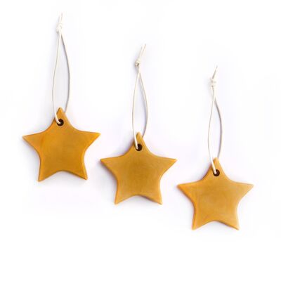 Set of 3 Scented Zero Waste and Biodegradable Tree Ornaments/Wax Melts - Cinnamon, Clove and Pepper