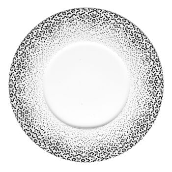 Prisme - Coffret 6 assiettes plates-MEDARD DE NOBLAT 1