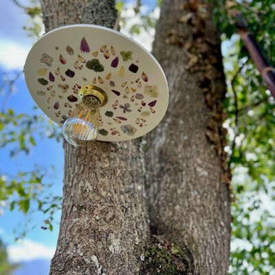 Lampada a sospensione per erbario dal design ecologico