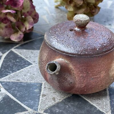 Dancak ceramic Kyusu teapot 220ml