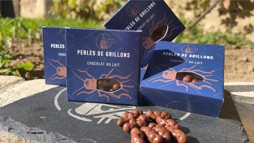Insectes comestibles - Grillons enrobés de chocolat