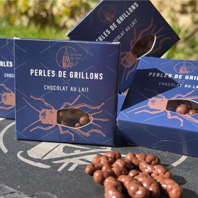 Insectes comestibles - Grillons enrobés de chocolat