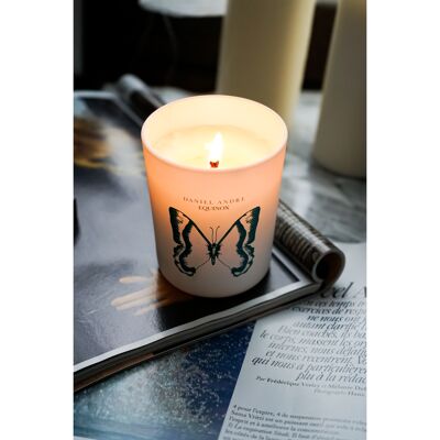Scented candle - Equinox à la Garrigue