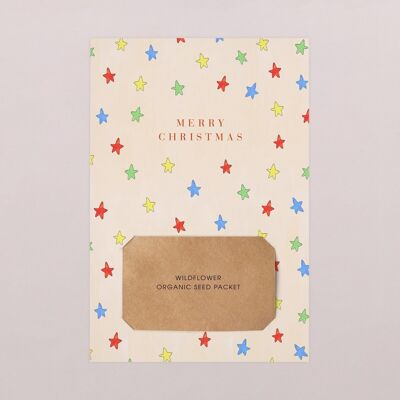 Plantable Greeting Card - Funny stars