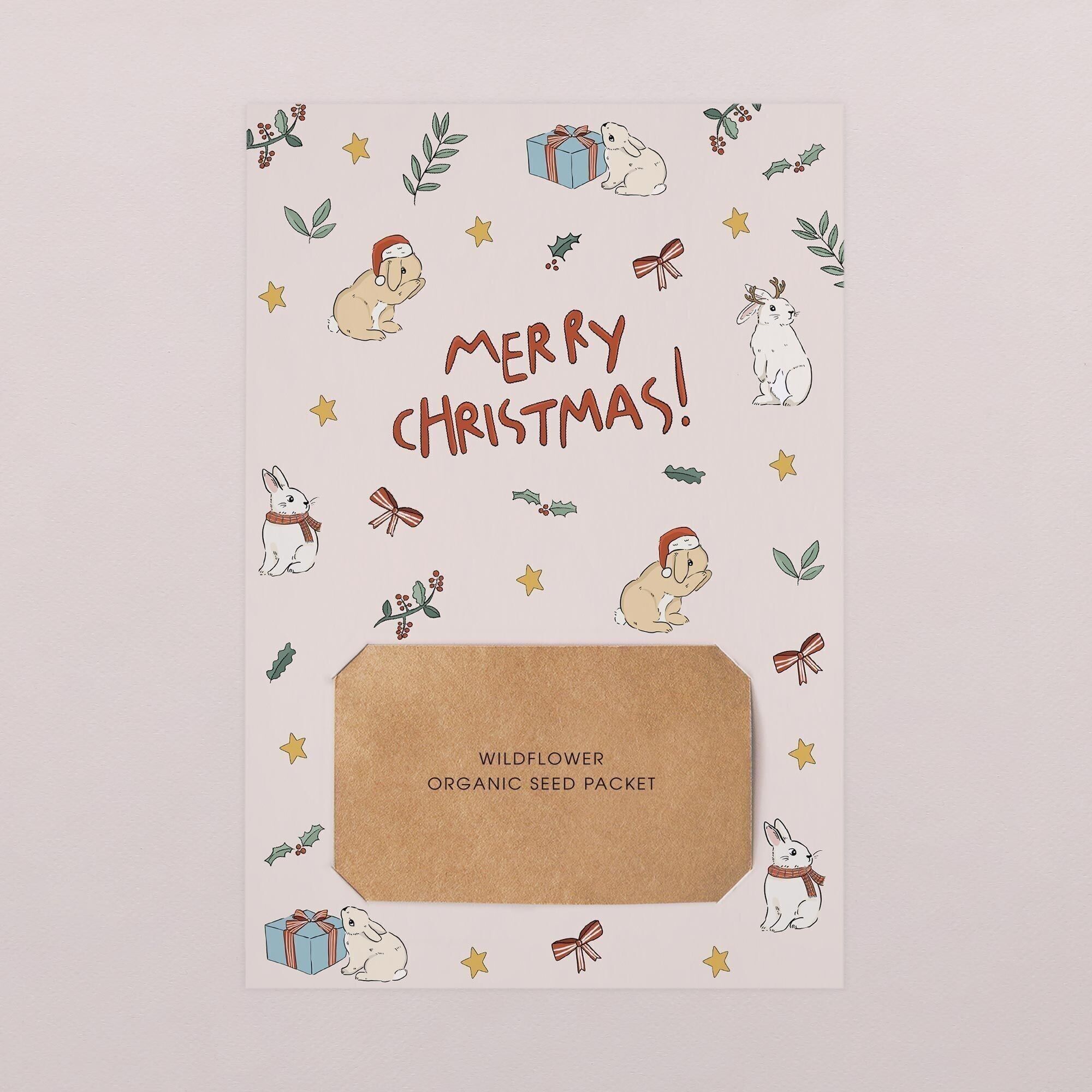 Biglietto d'auguri piantabile - Coniglietto innevato