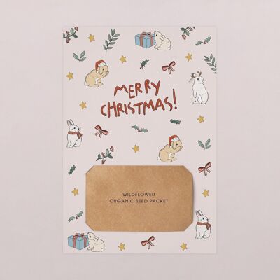 Plantable Greeting Card - Snowy bunny