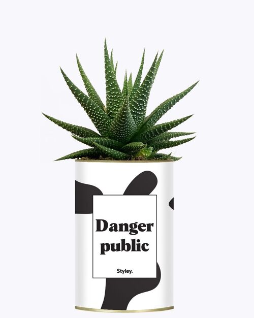 Plante Grasse - Danger public