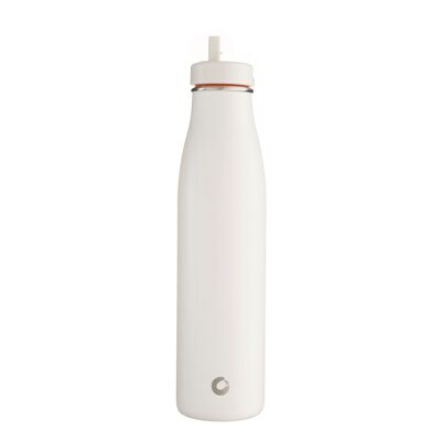 800 ml Evolution-Edelstahlflasche, vakuumisoliert – wiederverwendbare Metallflasche mit Strohhalm