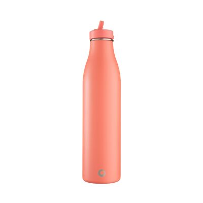 1200ml evolution stainless steel bottle