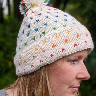 Artic Rainbow Bobble Hat