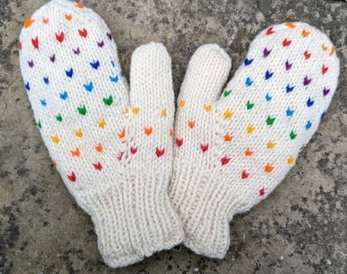 Artic Rainbow Mittens / Gloves