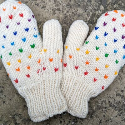 Artic Rainbow Mittens / Gloves