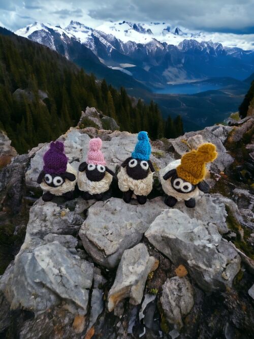 Felted Sheep with Knitted Beanie