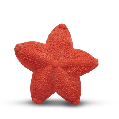 Lanco - Sensory Bite Toy Starfish