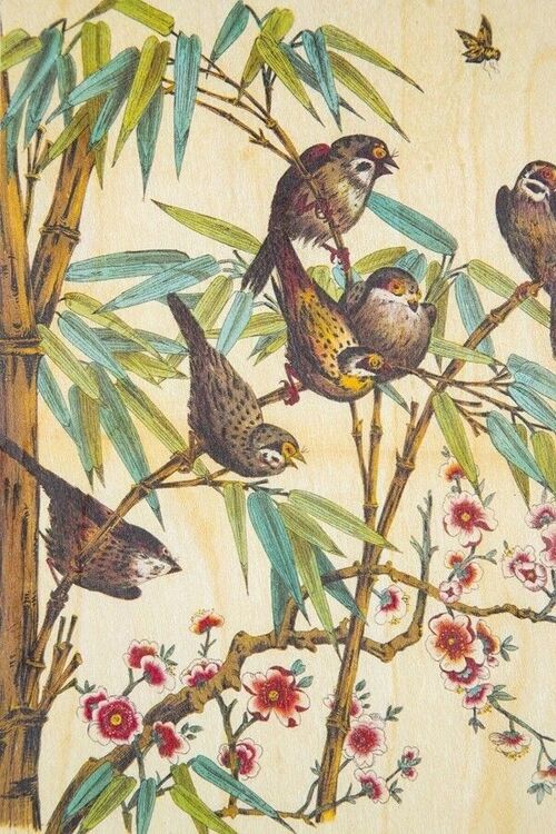 Carte postale en bois- bnf ornements birds on a branch
