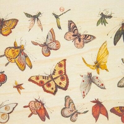 Postal de madera - adornos de mariposa bnf