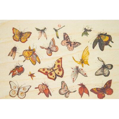Cartolina in legno- ornamenti farfalla bnf