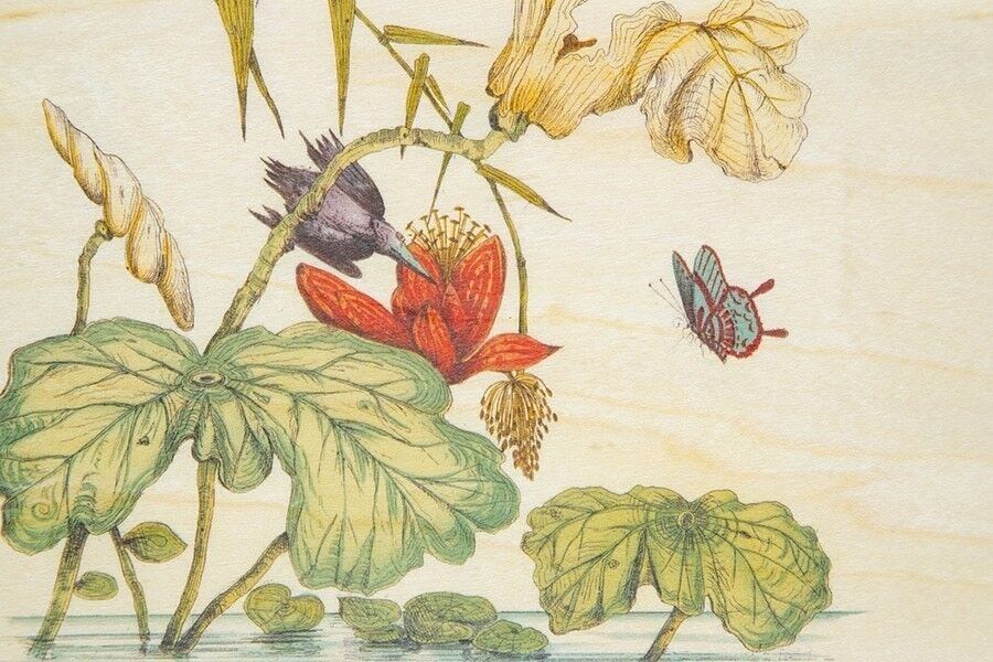 Cartolina in legno - ornamenti bnf sull'acqua - card
