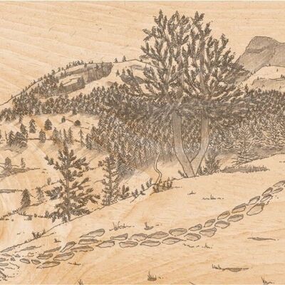 Carte postale en bois- hiking footprints
