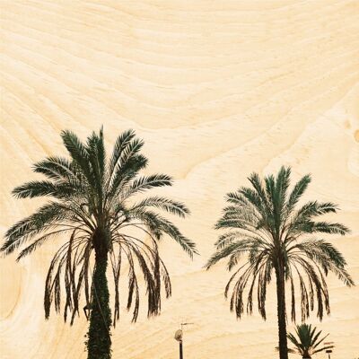 Poster in legno - foto di palme
