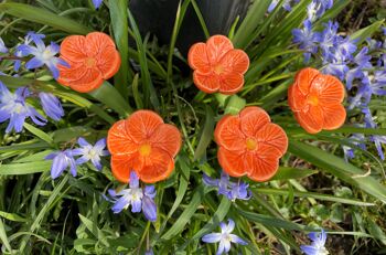 Fleurs de cerisier en céramique orange, pieu végétal 4