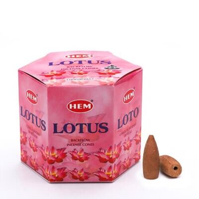 Cônes de reflux Hem Lotus pour fontaine à fumée (paquet de 20 pièces)