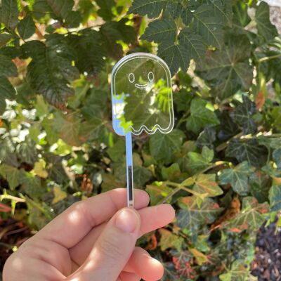 Pic pour plantes fantôme acrylique miroir