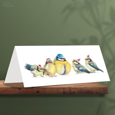 Carte de Noël à mésange bleue, cartes de Noël pour animaux, carte de vœux mignonne, cartes d’oiseaux