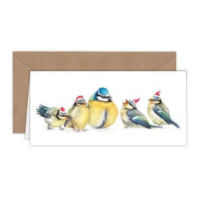 Cartolina di Natale Cinciarella, Cartoline di Natale con animali, Cartolina d'auguri carina, Cartoline di uccelli