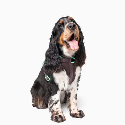 Extra Dark Brown Color Block Flexible Dog Harness