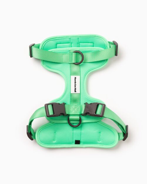 Spearmint Green Color Block Flexible Dog Harness