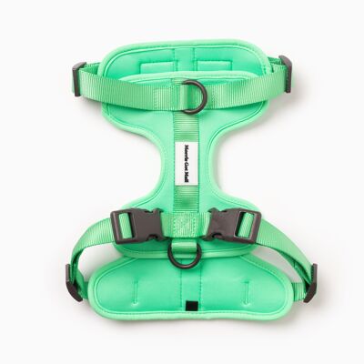 Harnais flexible pour chien à bloc de couleur vert menthe verte