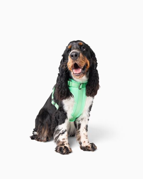 Spearmint Green Color Block Flexible Dog Harness