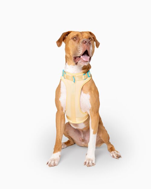 Butter Yellow Color Block Flexible Dog Harness