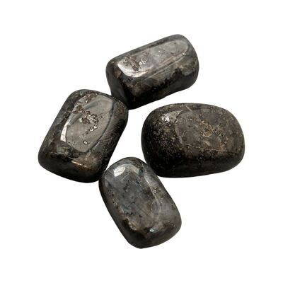 Tumbled Crystals, Pack of 6, Larvikite