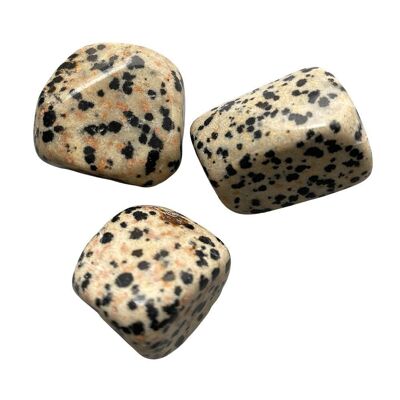 Tumbled Crystals, Pack of 12, Dalmatian Jasper