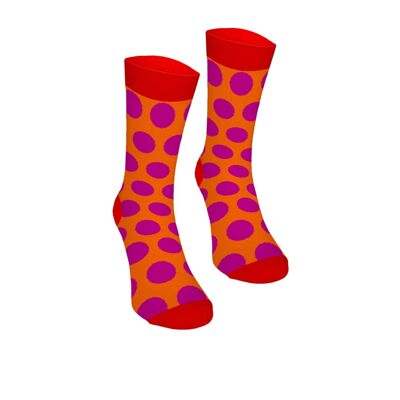 Dots Purple Colored Cotton Socks Bertoni 37-41