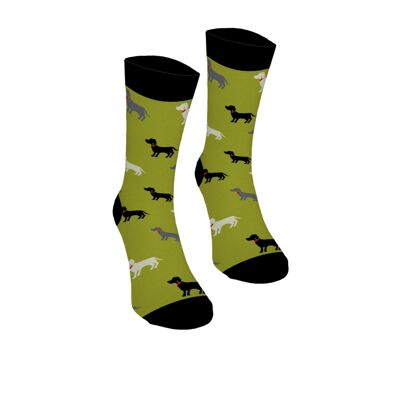 Chaussettes Basset en coton couleur olive vert Bertoni 37-41